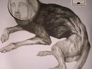 THEE OH SEES - Putrifiers II EP - Vinyl (LP + MP3 download code)