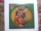 Cher Take Me Home Picture Disc