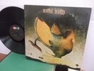 Rare Bird,Probe 4514, 