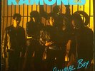LP RAMONES - animal boy