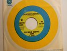Sidewalk Skipper Band dj 45 SEVENTEENTH SUMMER / IT'S RAINING FLOWERS...   VG++