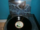 roxy music (siren) island ilps 9344 u-k press