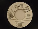 The Sharpets 45 LOST IN WORLD OF A DREAM / inst. The Staircases   VG++