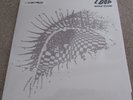 LOOP - WOLF FLOW (V.LTD BLUE VINYL) RSD DOUBLE