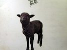 SKYHOOKS Straight In A Gay Gay World LP