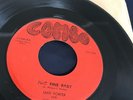 JAKE PORTER & THE LAURELS Fine Fine Baby / T.J.   RARE R&B 45 on COMBO 66