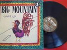 Reggae BIG MOUNTAIN *** Wake Up *** ORIGINAL & VERY SCARCE 1992 Spain LP