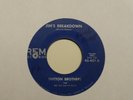 45 RPM Dutton Bros REM 401 Jim's Breakdown   BLUEGRASS   VG