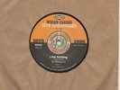 Al Williams / Lester Tipton - I Am Nothing / This Wont Change - Wigan Casino Ann