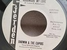Darwin & Cupids GOODNIGHT MY LOVE (RARE DOO WOP PROMO 45) #9 PLAYS VG++ NO NOISE