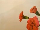 JOHN LEGEND Love In The Future 2x LP NEW VINYL