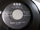 J.D. Jarvis & White Water Valley Boys Spaceship Song bluegrass gospel 45 on Ark