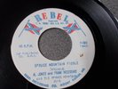 Al Jones and Frank Necessary Spruce Mountain Fiddle bluegrass 45 on Rebel