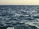 dEUS / Following Sea - Vinyl LP 180g + Download