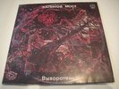 Kalinov Most - Vivoroten/??????? ???? - ?????????? RUSSIAN Prog/Folk/Rock LP