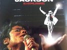 MICHAEL JACKSON 2LP VINYL - in loving memory -  LIMITED EDITION
