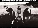 BEASTIE BOYS-BEASTIE BOYS:CHECK YOUR HEAD(REMASTERED) (NEW LP VINYL)