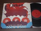 Dream LP Living in a Dream RARE private Michigan psych Acid Archives prog