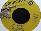 BIG LEE DOWELL - WHAT I DONE WRONG - CBLL04 - CANNONBALL RECORDS - MINT UNPLAYED