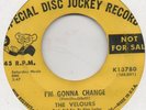 THE VELOURS-I'M GONNA CHANGE-M.G.M.-***DEMO***-***ORIGINAL 1st ISSUE***