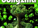 Bongzilla STASH LP black with insert first pressing EYEHATEGOD SLEEP Melvins