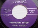 Jiving Juniors DOOWOP original ASNES 45 Moonlight Lover  Sweet As An Angel F2909