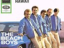 THE BEACH BOYS * Farmer´s Daughter* deutsche Beat 45 PS Car Cover