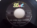 GARAGE ROCK 45. THE VIOLATIONS-YOU SURE HAVE CHANGED/THE HANGING/DOT 16866