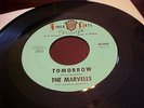 THE MARVELLS-FINE ARTS #2026  