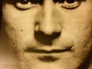 Phil Collins Face Value LP Record