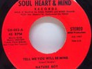 NATURE BOYS Tell Me You Will Be Mine / I Need You 1987 Modern Soul 7