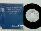 Bruce Springsteen-
