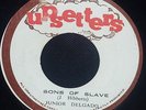 Junior Delgado Sons Of Slave / Sons Of Dub Lee Perry Upsetter Moster Reggae Hear