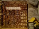 KROKODIL Swamp LP/1970 Switzerland/Progressive Blues Rock/Psych/Krautrock/Toad