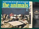 THE ANIMALS Animalization LP ORIG MGM Mono GARAGE PUNK FUZZ VG+/NM-