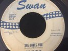 Rare Beatles She Loves You Swan White Label Blue Print  RECO-ART PHILA. Virtue