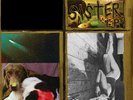 Sonic Youth  -  Sister-180g Vinyl -ORGM-1006
