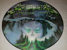 RARE METAL LP PICTURE DISC METALLICA 