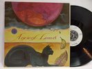 MICHAEL STEARNS ancient leaves LP --- private new age synth psych pina --- HEAR