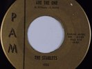 THE STARLETS:  Better Tell Him No PAM Girl Group Soul ’62 Rare 45 HEAR