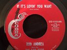 ROD ANDREA If It's Lovin' You Want COBRA Northern Soul Mod R&B LISTEN