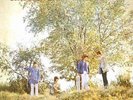 SMALL FACES THERE ARE BUT FOUR PRESALE NEW VINYL LP REISSUE OUT 21st JULY