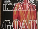 JESUS LIZARD 