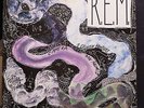 R.E.M. ?– Reckoning, Vinyl, LP, Album 12 “, 33 RPM