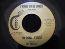 Listen  Rare Doo Wop 45 The Royal Jesters/The Casuals- I Want To Be Loved COBRA