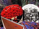 SCARCE 1973 DIE CUT ORIG LP = THE RASPBERRIES = POWER POP BEATLES WHO BIG STAR