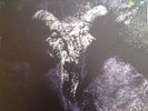 JOHN SQUIRE(STONE ROSES)-TIME CHANGES EVERYTHING-ORIGINAL DOUBLE LP-RARE