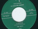 Sleazy exotica instro Barbara & The Boys #1 Records Cobra / Hooty Sapperticker ?