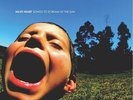 Have Heart - Songs to Scream at the Sun