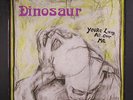 DINOSAUR JR.: You're Living All Over Me LP Sealed rare Rock & Pop